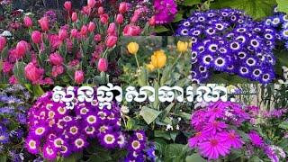 ទស្សនាសួនច្បារសាធារណៈនៅម៊ែលបនប្រទេសអូស្រ្តាលី-Visiting Public Gargen in Melbourne