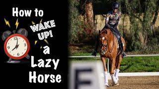 Wake Up Lazy Horse