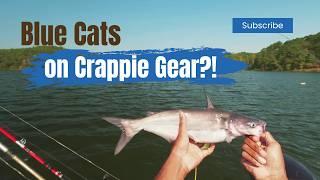 Catching a Blue Catfish on Crappie Gear | Black Warrior River Fishing