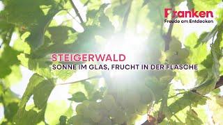 Der etwas andere Winzer - Hausbesuch Steigerwald