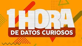 1 HORA de DATOS CURIOSOS⏰