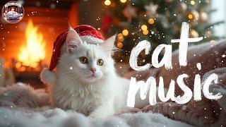 Christmas Cat Music  Soothing Holiday Melodies for Cats  Reduce Stress & Anxiety