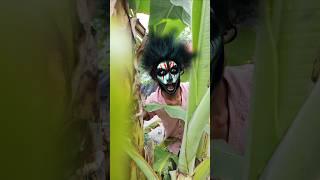 Chú chó dễ thương nhày cao jumpinghigh Cute dog, 🫒#shorts