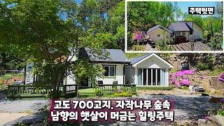 #평창전원주택.  고도 700고지 자작나무 숲속 남향의 햇살이  머금는 힐링주택