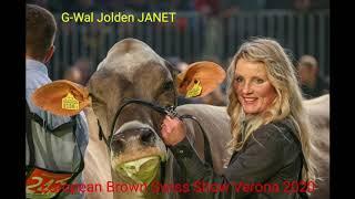 European Brown Swiss Show Verona - Team Switzerland