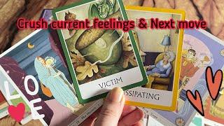 Crush current feeling & emotions for you Hindi tarot card reading | Love tarot