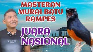 masteran murai batu rampes juara nasional