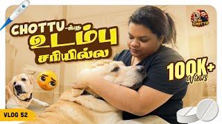 Chottu'க்கு என்ன ஆச்சுன்னு தெரியல | Chottu Not Feeling Well | Vlog 52 | Mr.Chottu