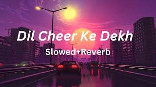 Dil Cheer Ke Dekh[Slowed+Reverb] Rang  I   Kumar Sanu   #lofi #lofimusic #lofibollywood #slowed