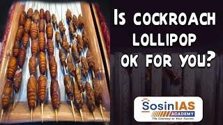 Is Cockroach Lollipop OK for You? | Anthropology Insights | Sosin IAS Academy Hyderabad