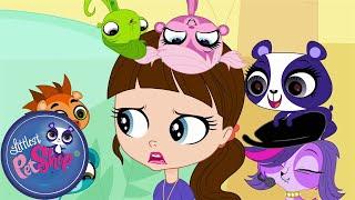 Littlest Pet Shop | Blythe’s Big Adventure – Part One | Season 1 | Pet Cartoon