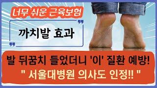 더운날 초간단 홈트ㅣ서울대병원 교수님도 인정한 까치발 운동으로 '이' 질환 예방 가능!ㅣ가장 손쉬운 근육보험ㅣ대단한 까치발 효과