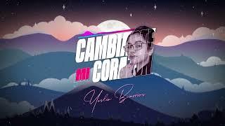 Yeslin Barrios - Cambiaste Mi Corazon (Audiovisualizer)