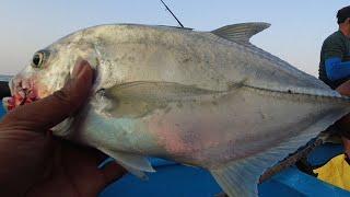 End of season back to back catches.May 2023.#fishing #fishingingoa #agondabeach