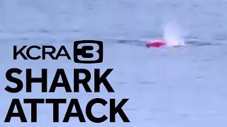 Great White Shark Attacks Kayaker in Monterey Bay, California