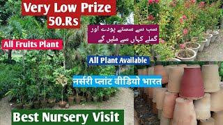 Best Nursery Visit & Very Low Prize All Plants | plant Nursery visit video |  New Nursery Visit