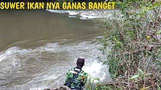 MANCING DI SPOT BARU IKAN NYA BESAR-BESAR DAN MASIH SANGAT GANAS MAS BROO !!..