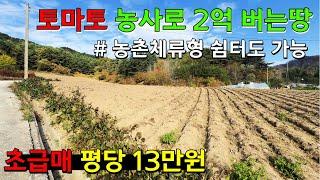 [횡성] 둔내면 초급매 평당 13만원 저렴한 토지 토마토 농사도 가능 농촌체류형 쉼터 가능 전원주택 분양도 가능한 계획관리 남향 토지