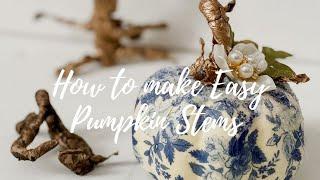How to Make Easy Whimsical Pumpkin Stems