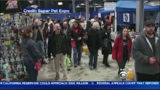 Super Pet Expo Comes To Edison, New Jersey