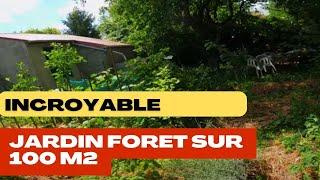 Incroyable crée un jardin forêt nourricier sur moins de 100 m2, la stratégie