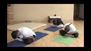 Makka Ho - Meridian Yoga - Meridian Stretching Exercises | HeartMindHealingArts.com