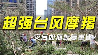 经济损失超500亿！“摩羯”台风重创海南，重建蓝图如何绘制？「央视财经评论」 20240909 | 财经风云