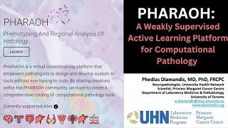 PHARAOH: A Weakly Supervised Active Learning Platform for Computational Pathology