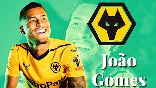 João Gomes Welcome to Wolverhampton WanderersSkills, Goals & Assists