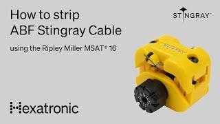 Hexatronic MSAT 16 - Stripping ABF Stingray Tutorial