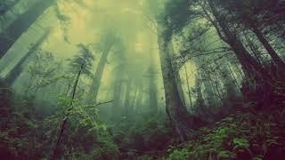 10 ore di musica rilassante con suoni della natura, acqua, uccelli