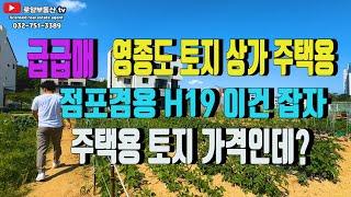 영종도 토지 상가와 주택 겸용 가능 점포주택용 토지 일명 H19 가격이 아주 좋은 토지입니다 하늘도시 위치 한 상가주택 용 토지 강력 추천~!!