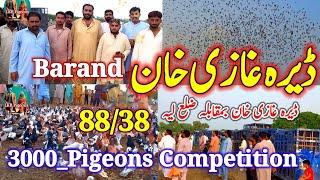 Competition of 3000 pigeons | Dera Ghazi Khan Brand in Kabootar Baji | Layyah v/s Dera Ghazi Khan