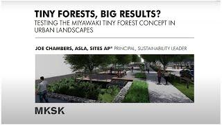 Tiny Forests, Big Results? with Joe Chambers and Andrew Putnam