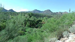 Spur Cross Ranch located on N Spur Cross Rd in Cavecreek Arizona.