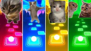 Chipi Chipi Chapa Chapa Cat vs Happy Happy Happy Cat vs Sad Cat vs Talking Cats - Tiles Hop EDM Rush