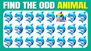 Find The Odd One Out - Animals Edition  | Easy, Medium, Hard - 30 Ultimate Levels