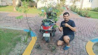 save tree save earth  with Indian visitor