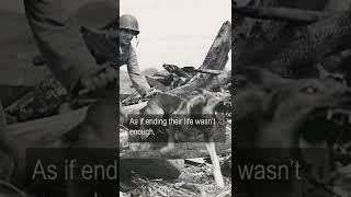 Soviet Anti-Tank Dogs In World War 2