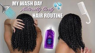 My Wash Day Naturally Curly Hair Routine | Symphony Taylor
