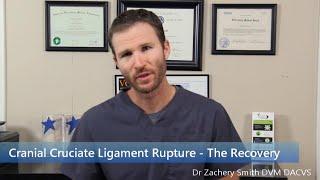 TPLO  The Recovery