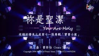 【祢是聖潔 You Are Holy】官方歌詞版MV (Official Lyrics MV) - 讚美之泉敬拜讚美 (11P)