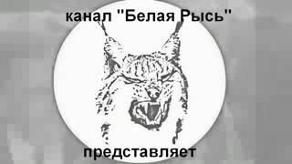 Несправедливостт