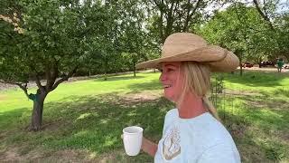 Small Pecan Farm Progress - Pruning To Bud Break At Coppertree Acres Farm