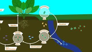 Understanding Our Soil: Jimi Sol