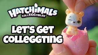 Hatchimals Colleggtibles | Let's Get Colleggting!