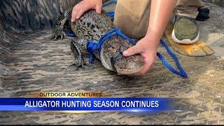 Outdoor Adventures with Chelsea: Alligator hunting in Mississippi