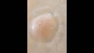 Karma Sutra bath bomb demo #2