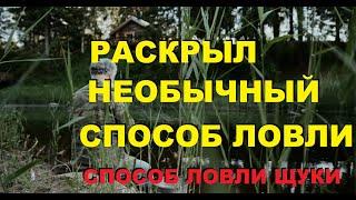 ДЕД РАСКРЫЛ необычный СПОСОБ ловли ЩУКИ, который работает и СЕЙЧАС! SeMano TV