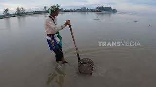 Cakar Cakar Kerang Kepah | RAGAM INDONESIA (21/06/23)